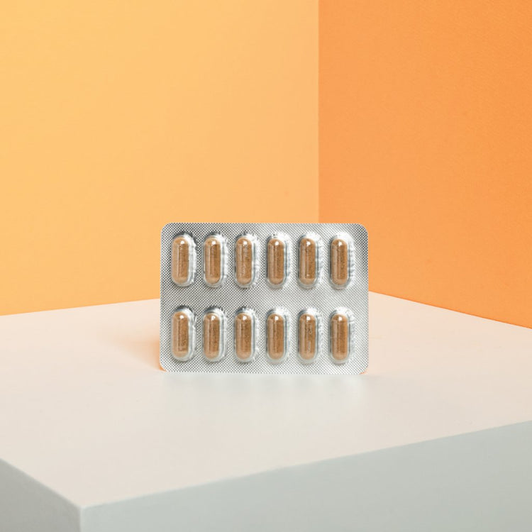 嵐國®蟲草菌絲體